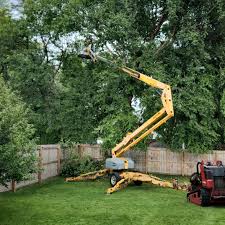 How Our Tree Care Process Works  in Superior, WI